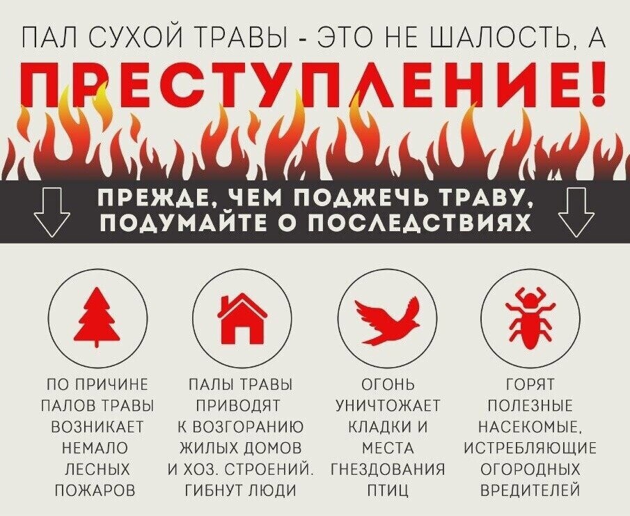 ПРЕЖДЕ, ЧЕМ ПОДЖЕЧЬ ТРАВУ, ПОДУМАЙТЕ О ПОСЛЕДСТВИЯХ.