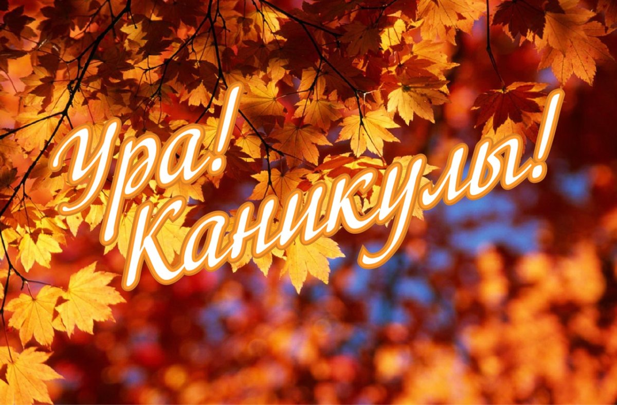 Осенние каникулы.